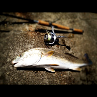 Fishing Blog 2011