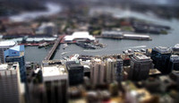 Sydney Tower View 3