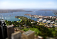 Sydney Tower View 2